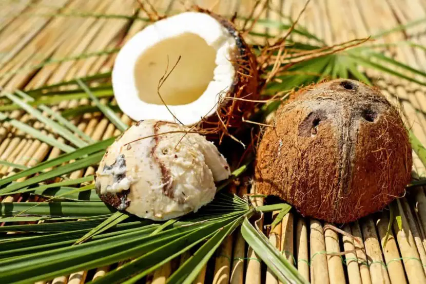 \"Coconut,